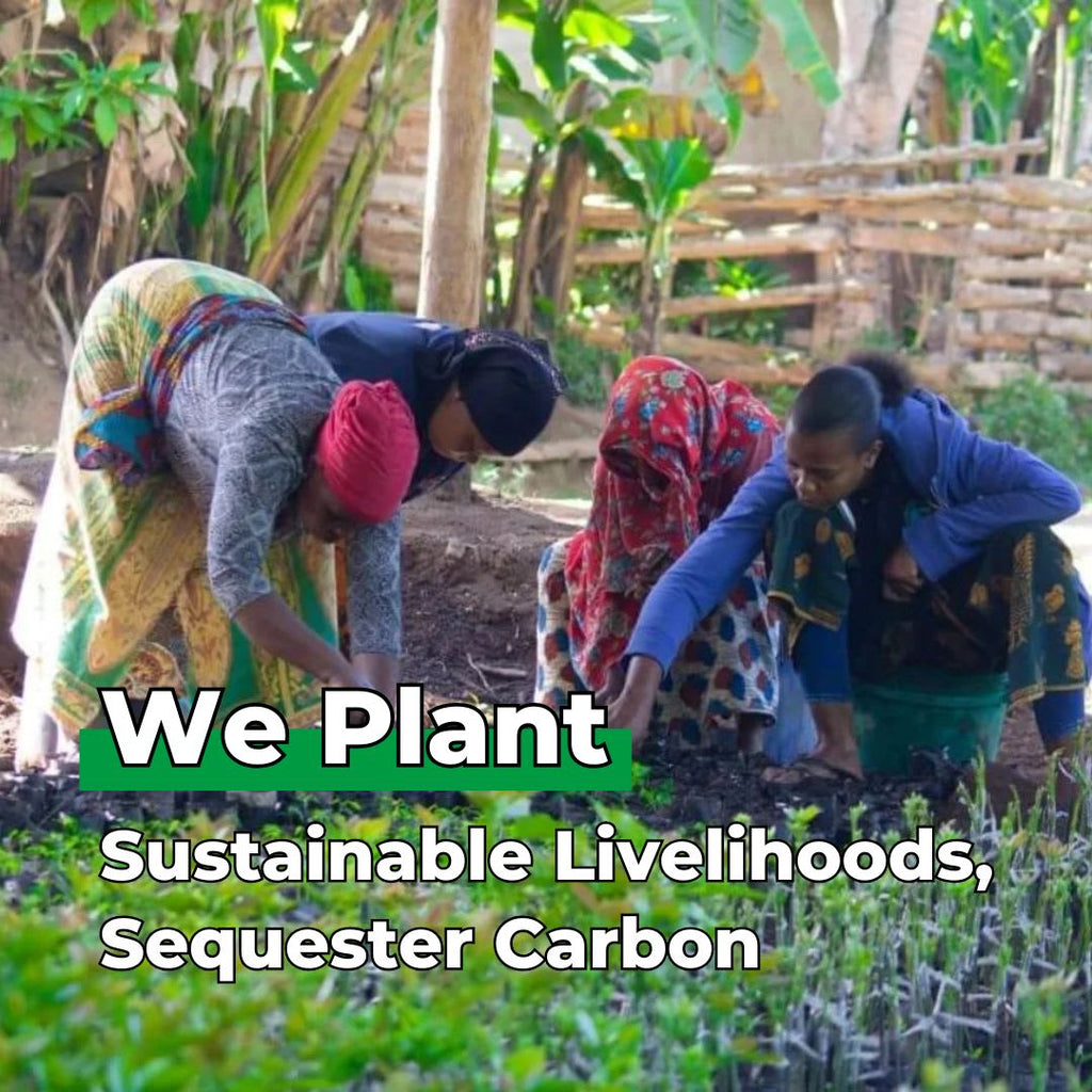 Earth with Heart Tree - Rocky's Sound Shop