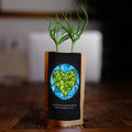 Earth with Heart Tree - Rocky's Sound Shop